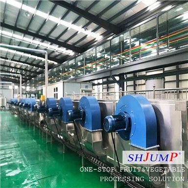 Jatkuva hihnakuivain