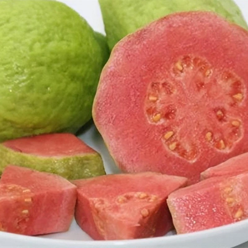 Guavakastikkeen käsittelylinjakone